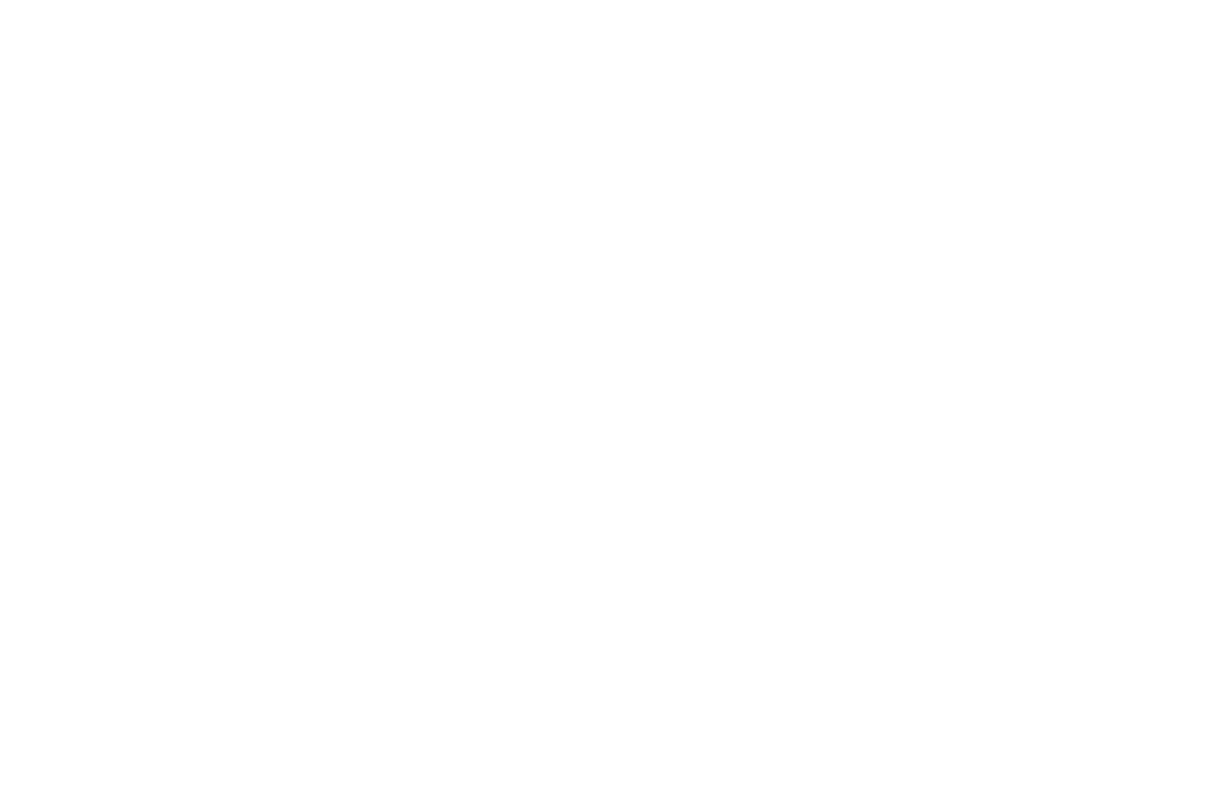 Logo blanc - Vermillon Neomix