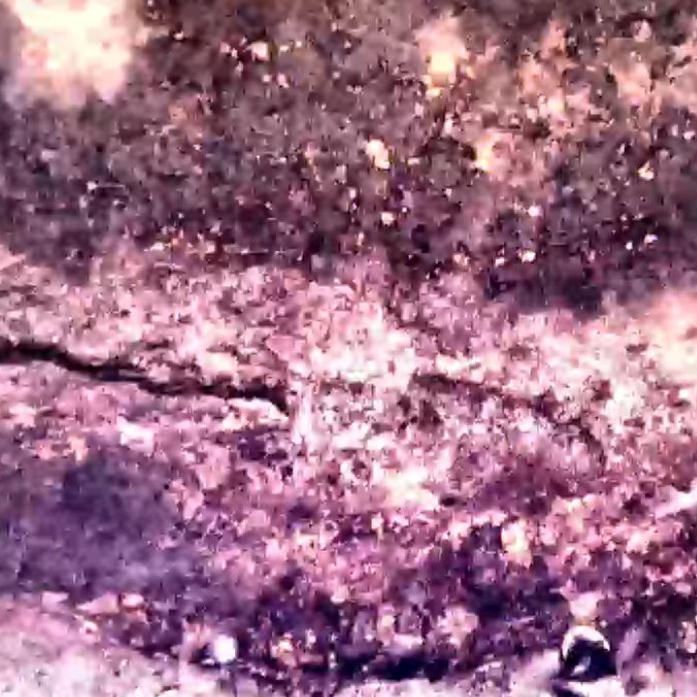 Fissure au pied du riser détectée lors de l’inspection par drone sous-marin Fissure au pied du riser détectée lors de l’inspection par drone sous-marin