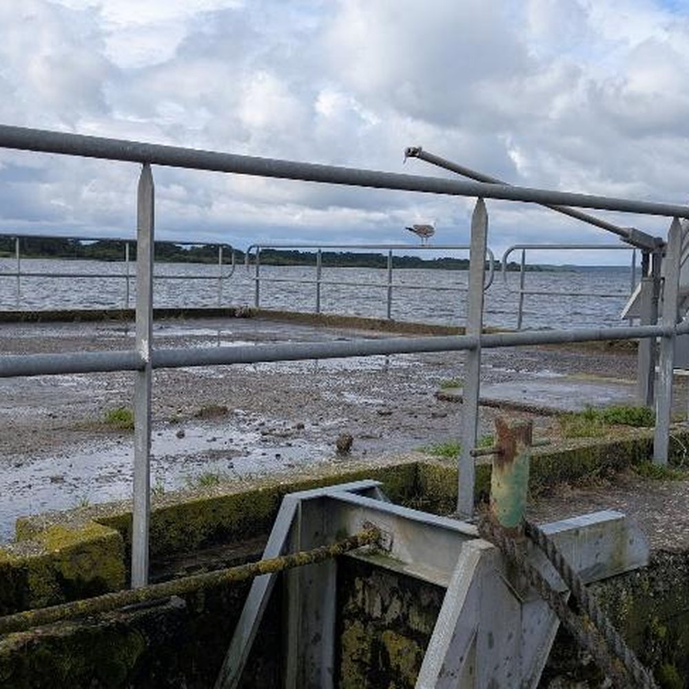 Passerelle d’accès d’une plateforme lacustre sur le lac de Parentis Passerelle d’accès d’une plateforme lacustre sur le lac de Parentis