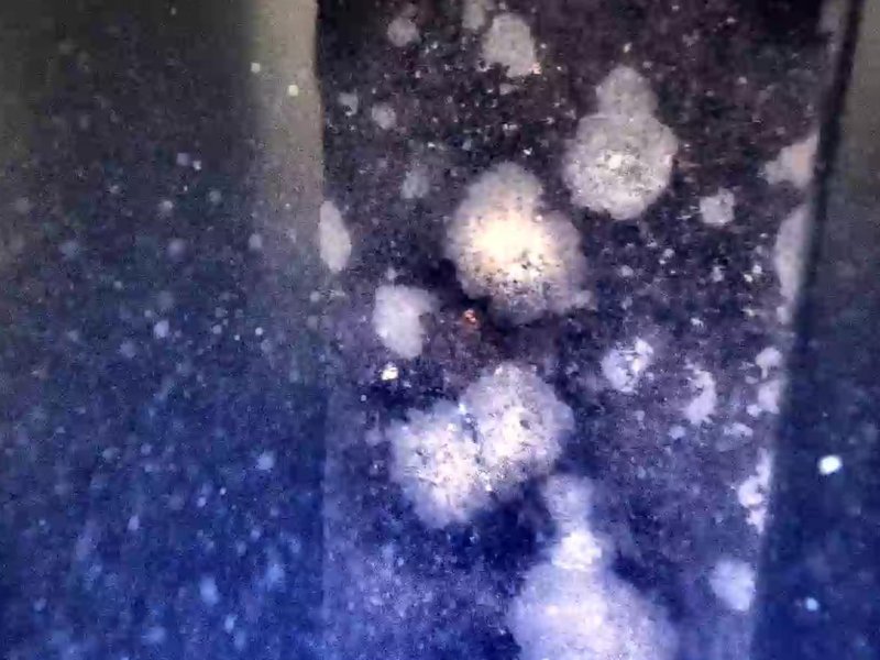 Image vidéo HD d’un pilier immergé avec concrétions, inspection sous-marine par drone Image vidéo HD d’un pilier immergé avec concrétions, inspection sous-marine par drone